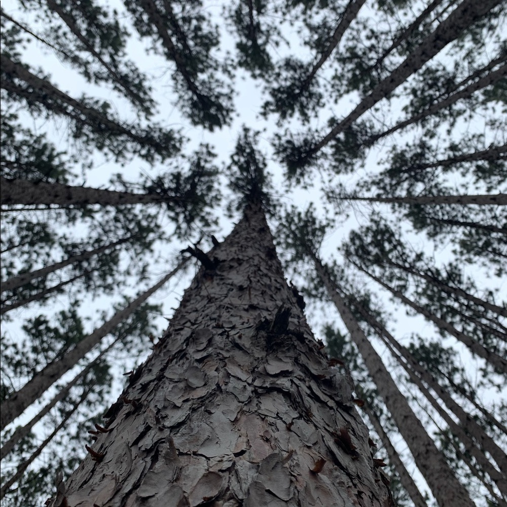 Meet your Posher, Benny